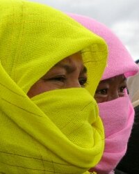 biblewomen