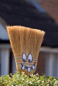 broomfaceistockdec10